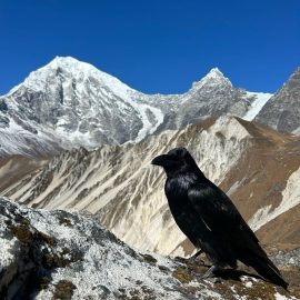 Langtang Lirung Expedition