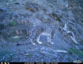 Wildlife Documentary Photography Trip